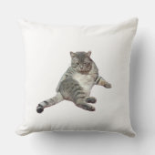 Cat sleeping クッション (正面)