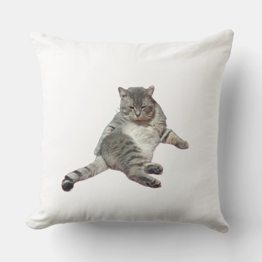 Cat sleeping クッション (正面)