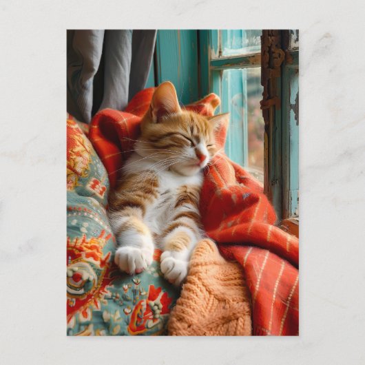 Cat Sleeping by Window with Pillow and Blanket ポストカード (正面)