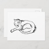 Cat Sleeping Illustration Pen Drawing Art ポストカード (正面/裏面)