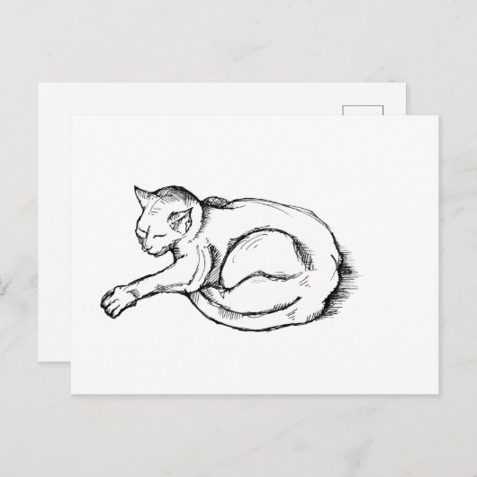 Cat Sleeping Illustration Pen Drawing Art ポストカード (正面/裏面)