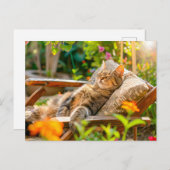 Cat sleeping in garden chair among flowers シーズンポストカード (正面/裏面)