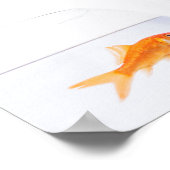 Cat staring at goldfish print ポスター (角)