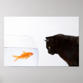 Cat staring at goldfish print ポスター