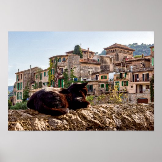 Cat sunbathing on a wall - Valldemossa, Mallorca ポスター (正面)