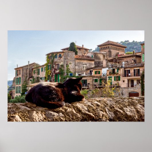 Cat sunbathing on a wall - Valldemossa, Mallorca ポスター (正面)