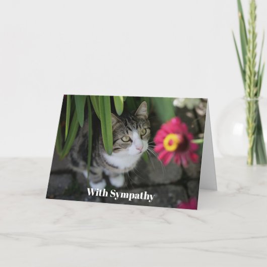 Cat Sympathy Card Personalized Pet Memorial  カード (正面)