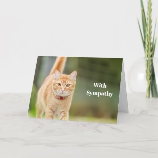 Cat Sympathy Card Personalized Pet Memorial  カード (正面)