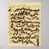 Cat Symphony, 1868 by Moritz von Schwind ポスター (正面)