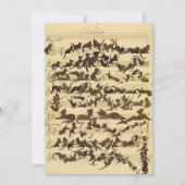 Cat Symphony by Moritz von Schwind サンキューカード (正面)