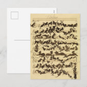 Cat Symphony by Moritz von Schwind シーズンポストカード (正面/裏面)