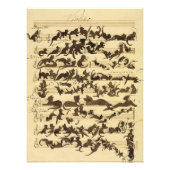 Cat Symphony by Moritz von Schwind フォトプリント (正面)