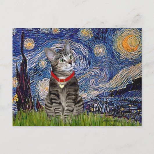 CAT (Tabby2) - 星月夜 ポストカード (正面)