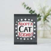 Cat Todayポストカードを採用 ポストカード (スタンド正面)