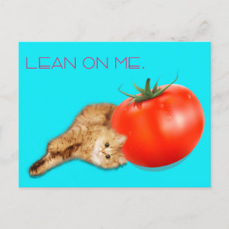 Cat & Tomato Postcard /　猫＆トマト　ポストカード ポストカード