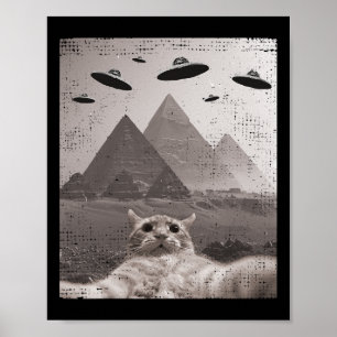 Cat Ufoミーム- UfoおもしろいのCat Selfie ポスター
