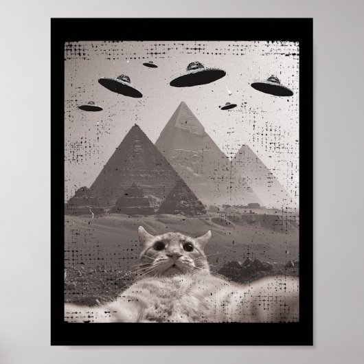 Cat Ufoミーム- UfoおもしろいのCat Selfie ポスター (正面)