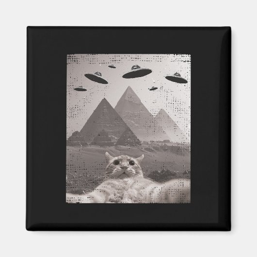 Cat Ufoミーム- UfoおもしろいのCat Selfie マグネット (正面)