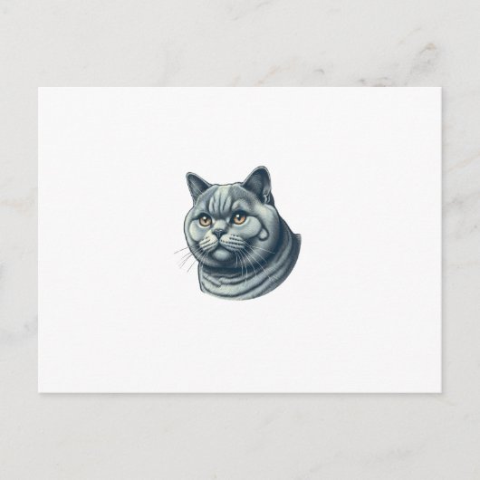 cat vintage ポストカード (正面)