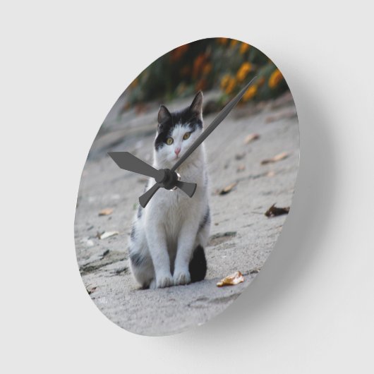 Cat, White, Pet ラウンド壁時計 (傾斜)