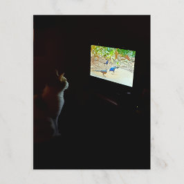Cat Who Loves His Screentime Postcard ポストカード