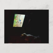 Cat Who Loves His Screentime Postcard ポストカード (正面)