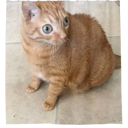 Cat With Big Eyes Shower Curtain シャワーカーテン (正面)