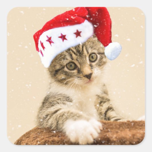 Cat with santa cap スクエアシール (正面)