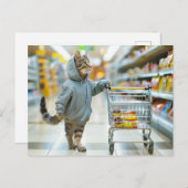 Cat with shopping basket in supermarket aisle シーズンポストカード (正面/裏面)