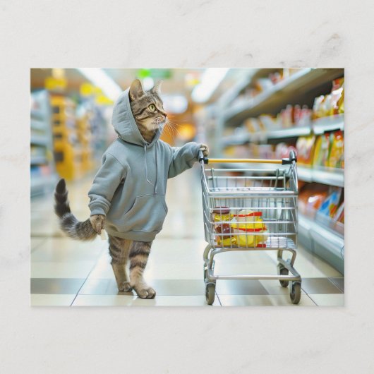 Cat with shopping basket in supermarket aisle シーズンポストカード (正面)