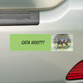 CATA HOOか。か。か。 バンパーステッカー (車上)