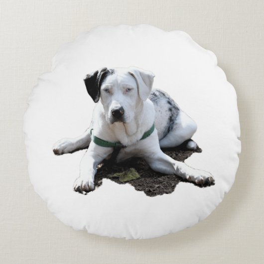 Catahoulaの野良犬の置くこと ラウンドクッション (正面)