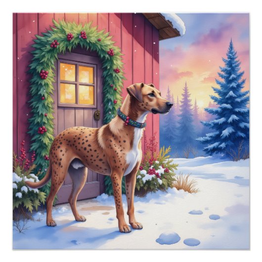 Catahoula Leopard Dog Rustic Barn Christmas Art ポスター (正面)