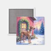 Catahoula Leopard Dog Rustic Barn Christmas Art マグネット (正面/裏面)