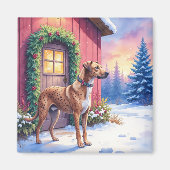 Catahoula Leopard Dog Rustic Barn Christmas Art マグネット (正面)