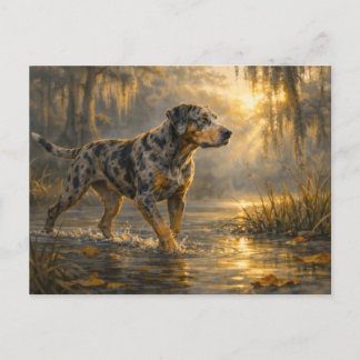 Catahoula Sunrise | ハンティングドッグアート | ポストカード