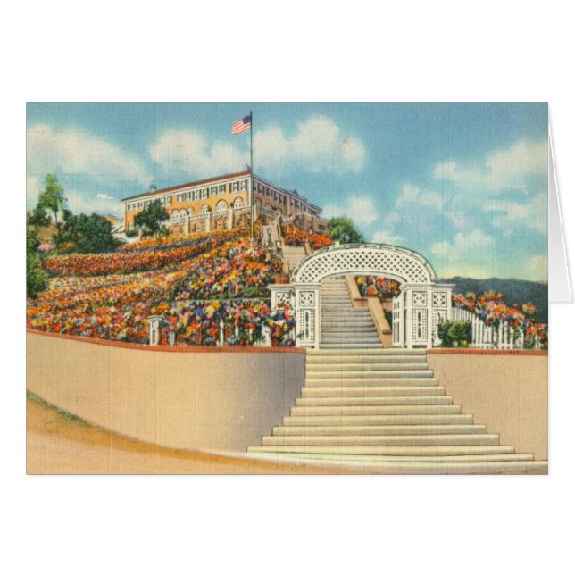 Catalina (正面横)