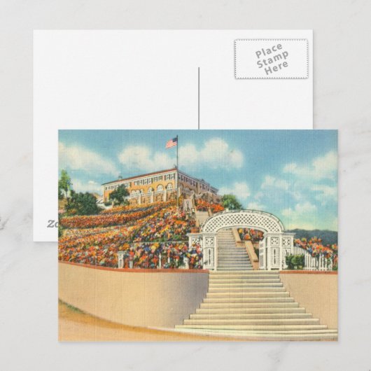 Catalina ポストカード (正面/裏面)