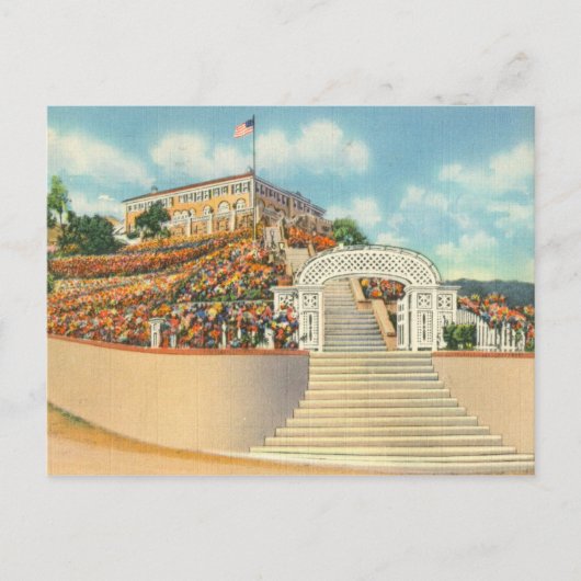 Catalina ポストカード (正面)