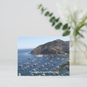 , "Catalina Island California" ポストカード (スタンド正面)