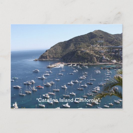 , "Catalina Island California" ポストカード (正面)