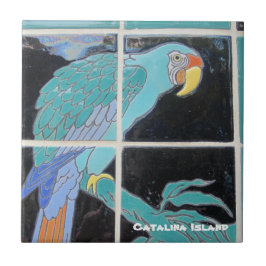 CATALINA ISLAND CERAMIC TILE タイル
