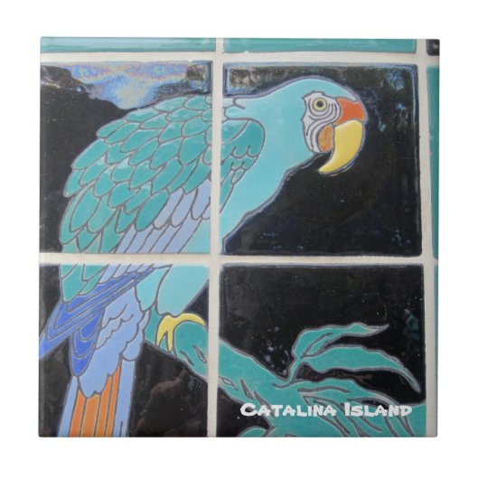 CATALINA ISLAND CERAMIC TILE タイル (正面)