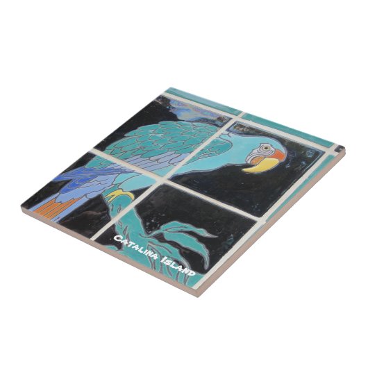 CATALINA ISLAND CERAMIC TILE タイル (側面)