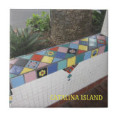 CATALINA ISLAND CERAMIC TILE CATALINA CORRIDOR タイル (正面)