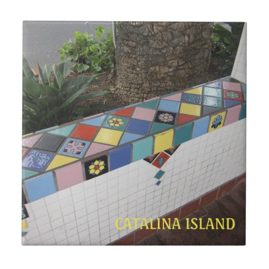 CATALINA ISLAND CERAMIC TILE CATALINA CORRIDOR タイル (正面)