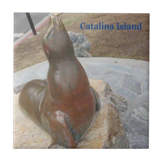 CATALINA ISLAND CERAMIC TILE THE BEN タイル (正面)