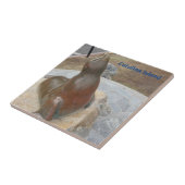 CATALINA ISLAND CERAMIC TILE THE BEN タイル (側面)