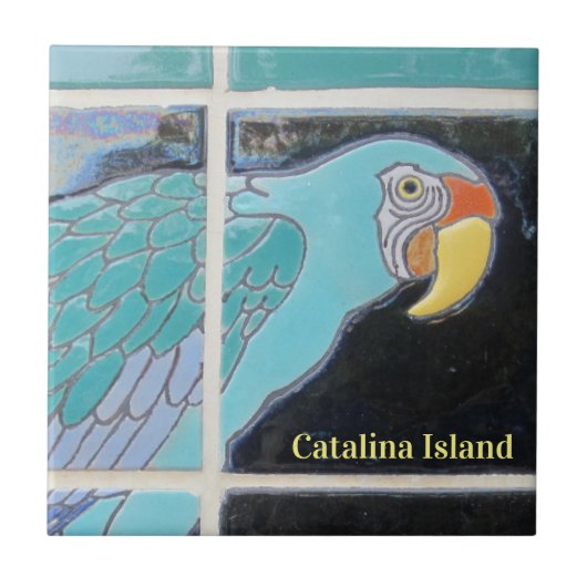 CATALINA ISLAND CERAMIC TILE THE LOOK タイル (正面)