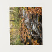 Cataloochee Creek NC Great Smoky Mountains タペストリー (正面)